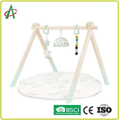 Van de het Spelmat van de 24,8 Duim de Wasbare Baby certificatie van Ce BSCI met het hangen van speelgoed
